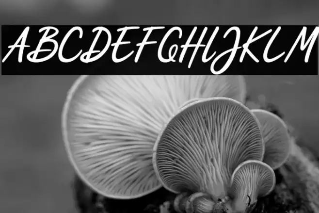 Scripterialism Font examples