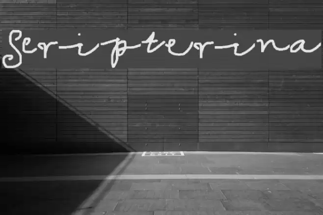 Scripterina Font examples
