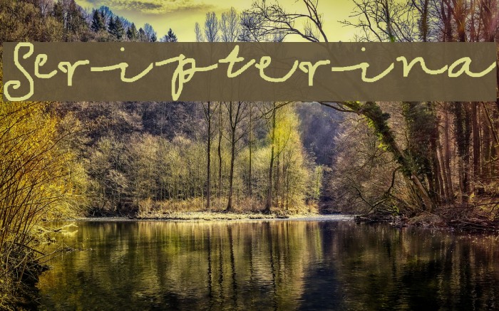 Scripterina Example 3