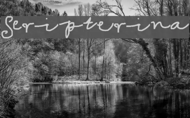 Scripterina Font examples