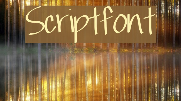 Scriptfont Font examples
