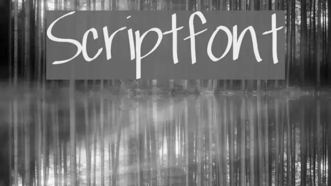 Scriptfont Font examples