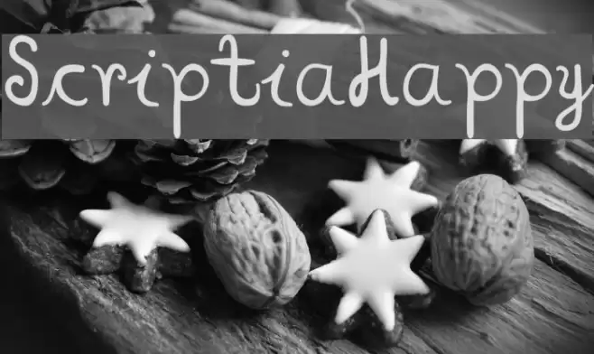 ScriptiaHappy Font examples