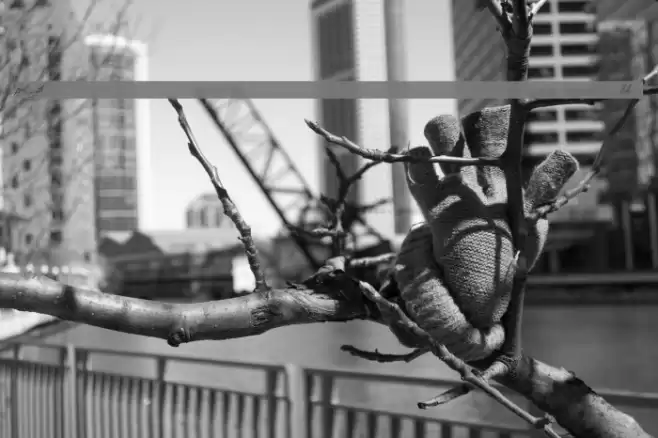 Scriptina - Alternates Fuentes examples