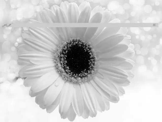 Scriptina - Alternates Fuentes examples