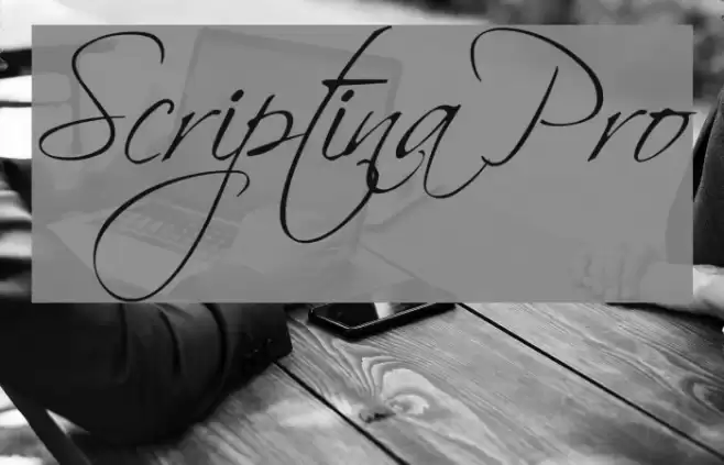 Scriptina Pro Font examples