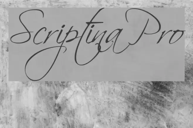 Scriptina Pro Font examples