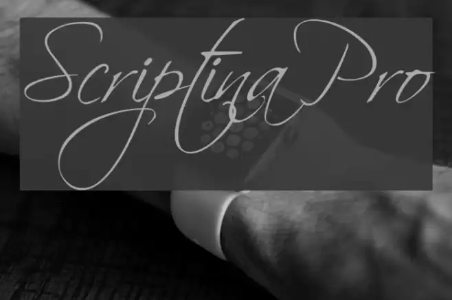 Scriptina Pro Font examples