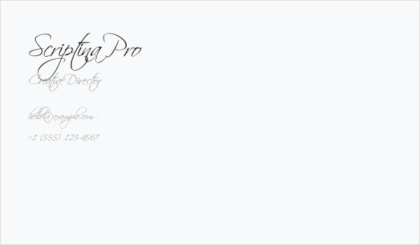 Scriptina Pro Business Card
