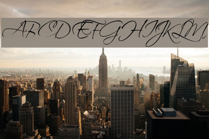 ScriptinaPro Font examples