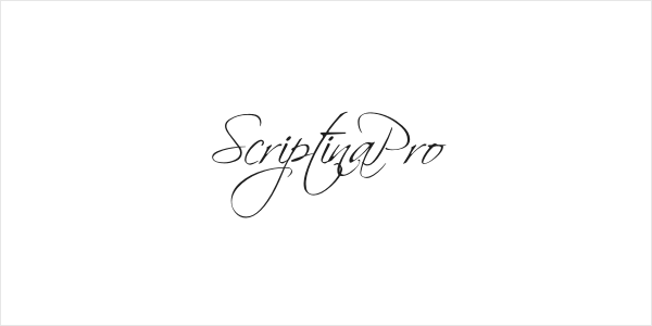 ScriptinaPro Logo
