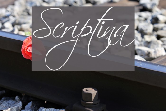 Scriptina Fuentes examples