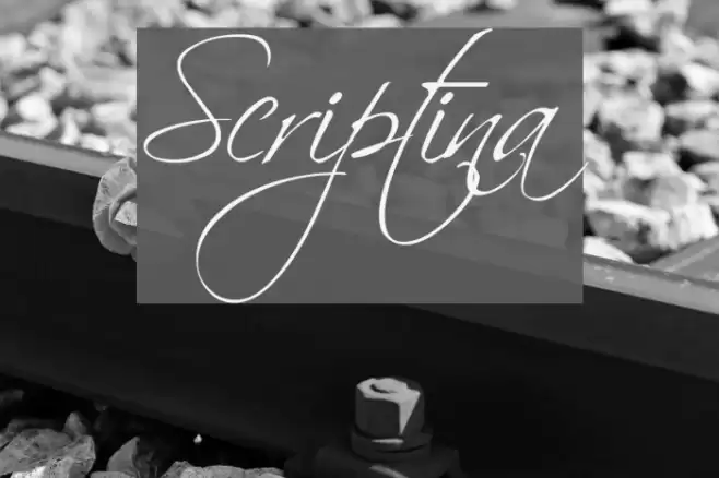 Scriptina Шрифта examples