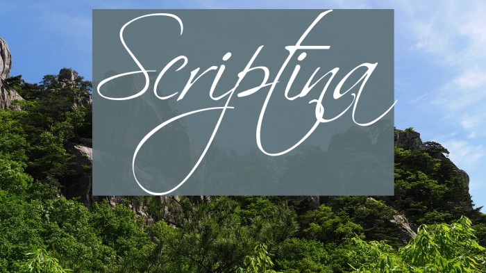 Scriptina Fuentes examples