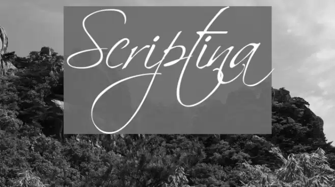 Scriptina Шрифта examples