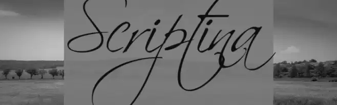 Scriptina Шрифта examples