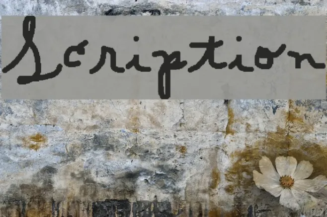 Scription Example 2