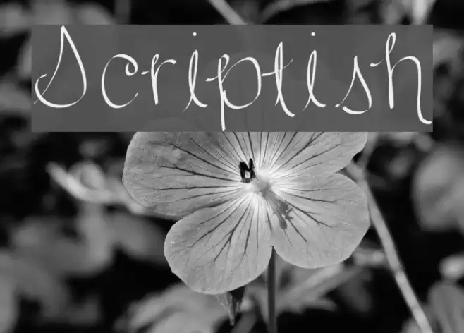 Scriptish Font examples
