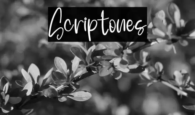 Scriptones Font examples