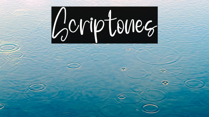 Scriptones Example 2
