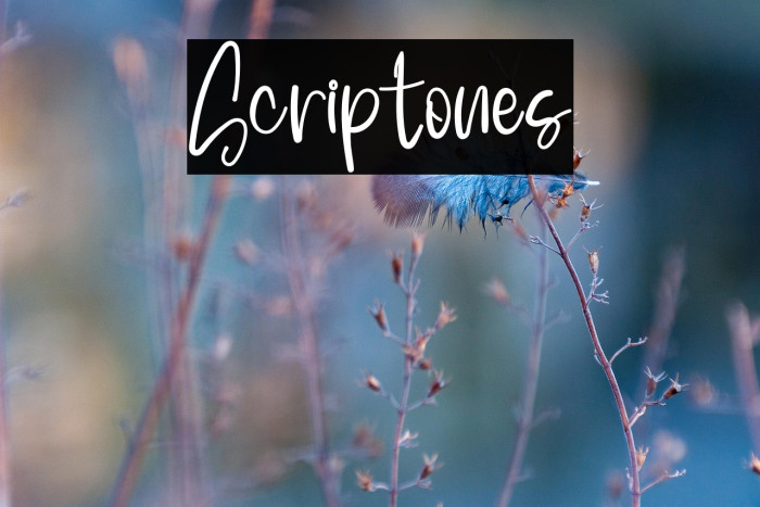 Scriptones Example 3