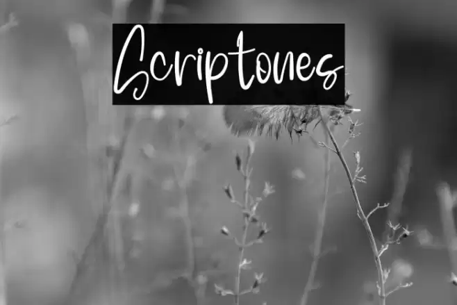 Scriptones Font examples