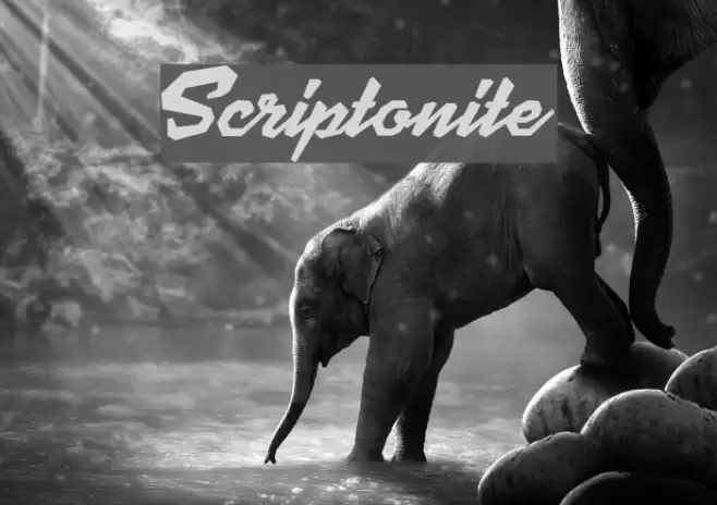 Scriptonite Font examples