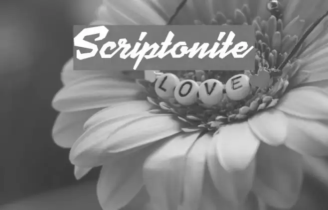 Scriptonite Font examples