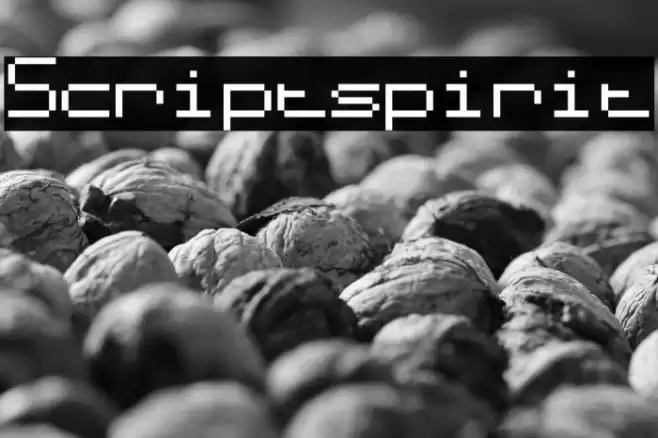 Scriptspirit Font examples