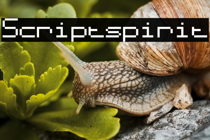 Scriptspirit Example 2