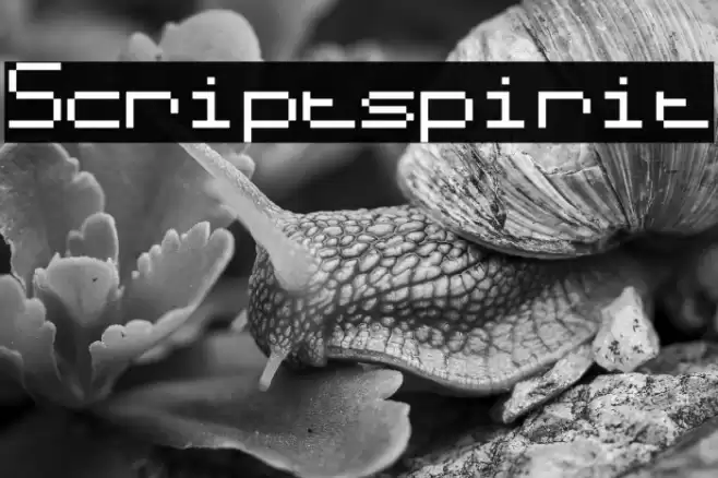 Scriptspirit Font examples