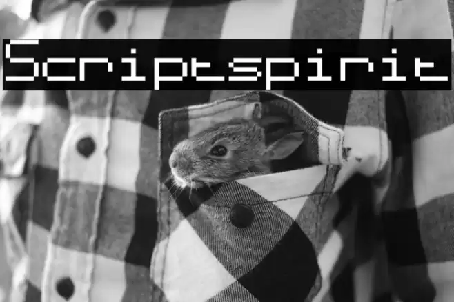 Scriptspirit Font examples