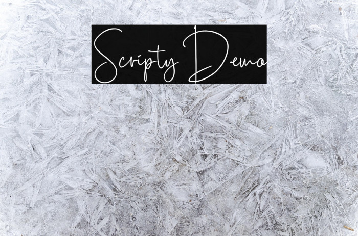 Scripty Demo Example 1