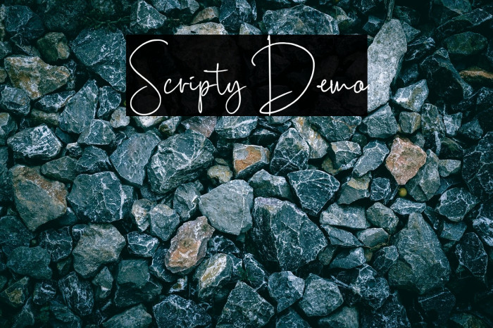 Scripty Demo Example 3