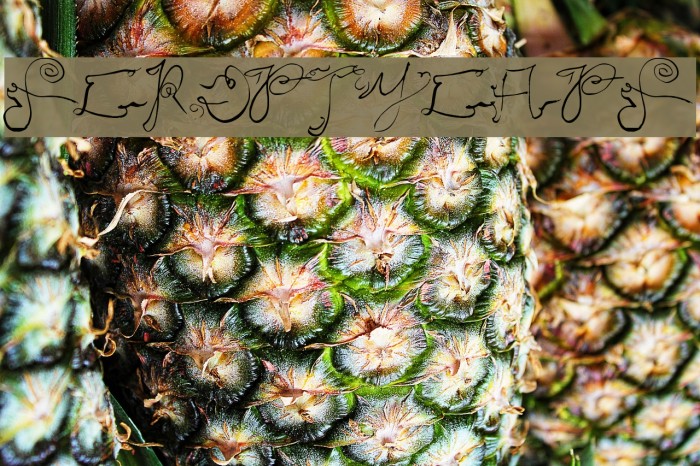 ScriptyCaps Example 1