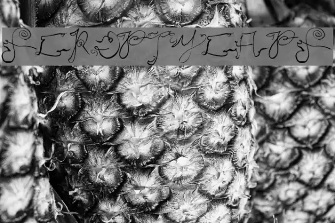 ScriptyCaps Font examples