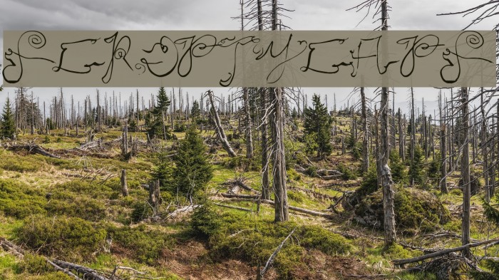 ScriptyCaps Example 2