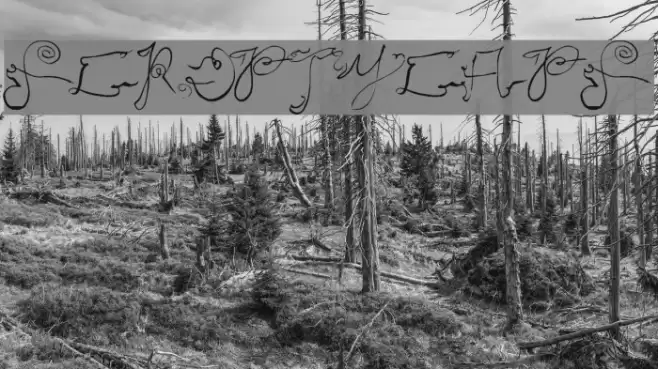 ScriptyCaps Font examples