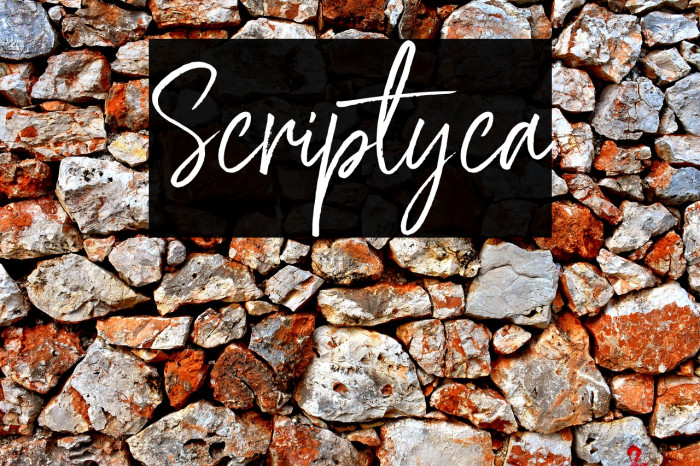 Scriptyca Font examples