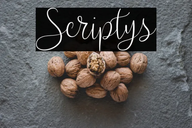Scriptys Example 1