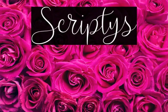 Scriptys Example 2