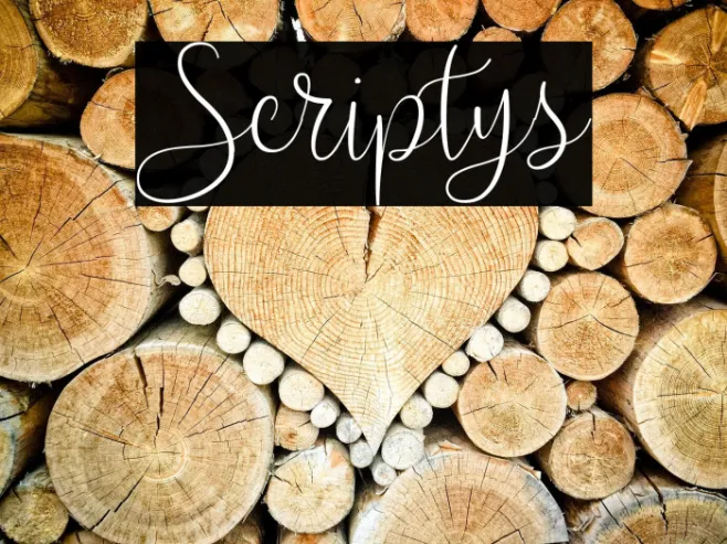 Scriptys Example 3