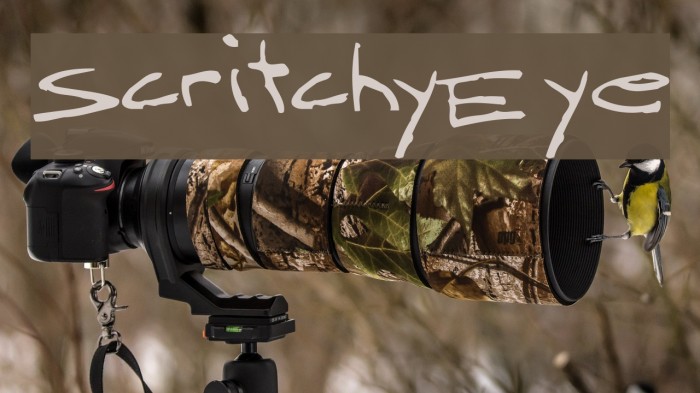 ScritchyEye Font examples