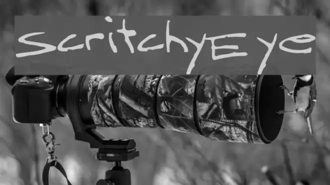 ScritchyEye Font examples