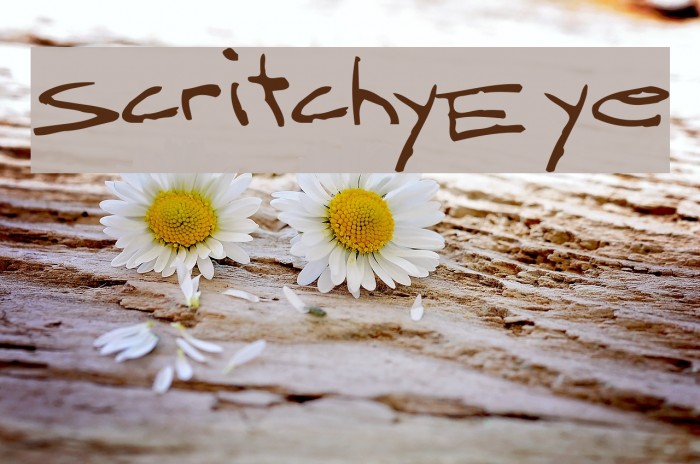 ScritchyEye Font examples