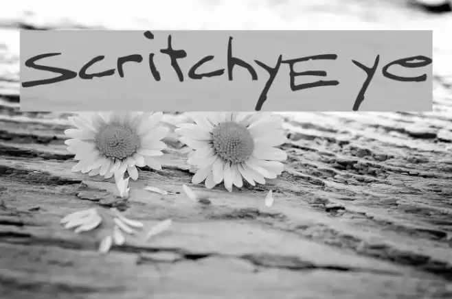 ScritchyEye Font examples
