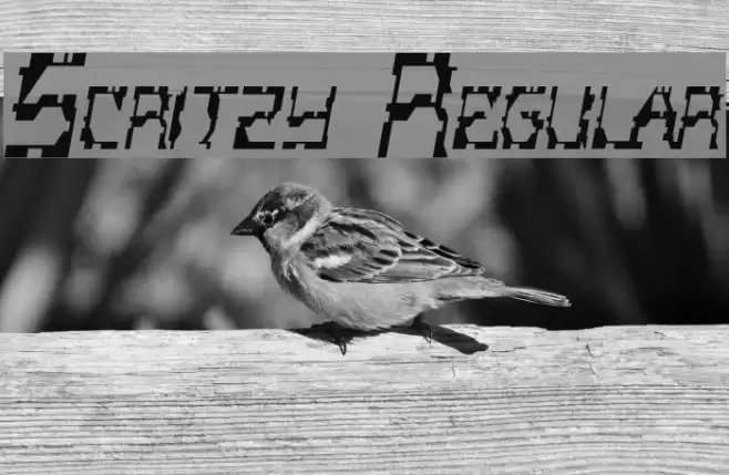 Scritzy Regular Fonte examples