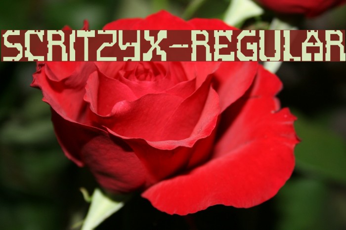 ScritzyX-Regular Font examples