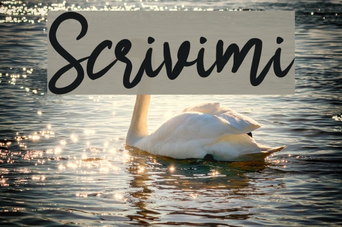 Scrivimi Font examples
