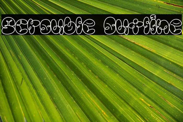 Scrouble Outline Example 2